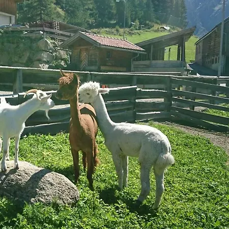 Sonate In Organic & Equestrian Farm The Veitenhof